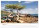 Thumbnail-8