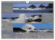 Thumbnail-14