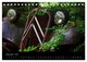 Thumbnail-14