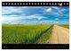 Thumbnail-10