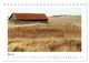 Thumbnail-10