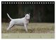 Thumbnail-12