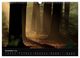 Thumbnail-14