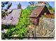 Thumbnail-7