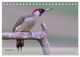 Thumbnail-10