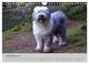 Thumbnail-11