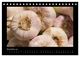 Thumbnail-13