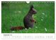 Thumbnail-11