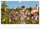 Thumbnail-8