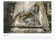 Thumbnail-9