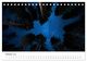 Thumbnail-12