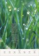 Thumbnail-11