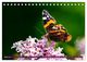 Thumbnail-8