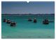 Thumbnail-8