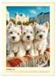 Thumbnail-12