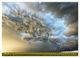 Thumbnail-8