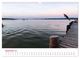 Thumbnail-14