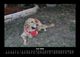 Thumbnail-10
