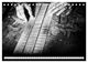 Thumbnail-8