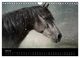Thumbnail-12