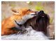 Thumbnail-12