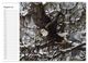 Thumbnail-10