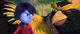 Thumbnail-10