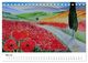 Thumbnail-10