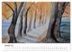 Thumbnail-11