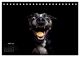 Thumbnail-9