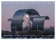 Thumbnail-8
