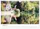 Thumbnail-11