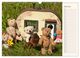 Thumbnail-11