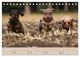 Thumbnail-12