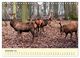 Thumbnail-14