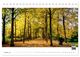 Thumbnail-12