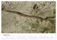 Thumbnail-13