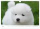 Thumbnail-9