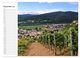 Thumbnail-13