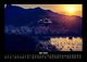 Thumbnail-9
