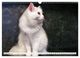 Thumbnail-14