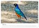 Thumbnail-8