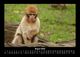 Thumbnail-12