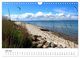 Thumbnail-11