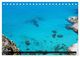 Thumbnail-9