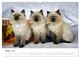 Thumbnail-12