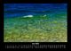 Thumbnail-10