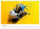 Thumbnail-11
