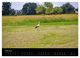 Thumbnail-10