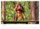 Thumbnail-11